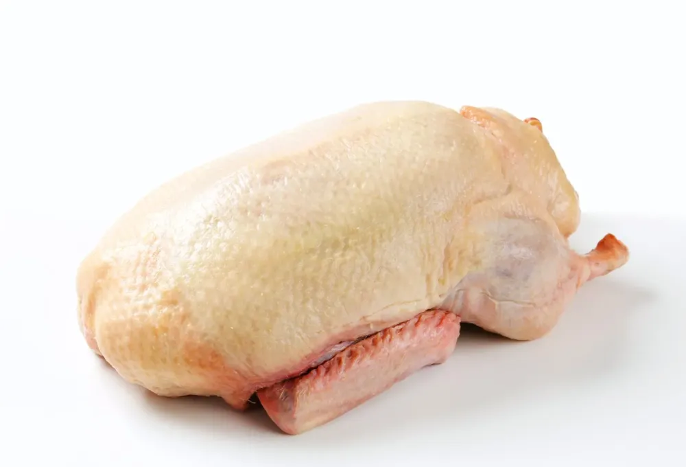 Canard Entier